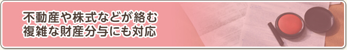 不動産や株式などが絡む複雑な財産分与にも対応